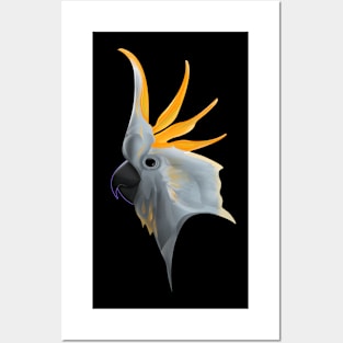 beautiful burd face Posters and Art